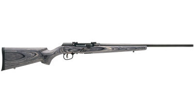 SAV A17 SPORTER 17HMR 22" 10RD LAM
