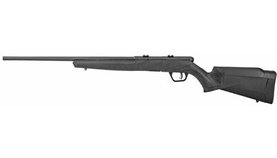 SAV B17 F 17HMR 21" 10RD BLK