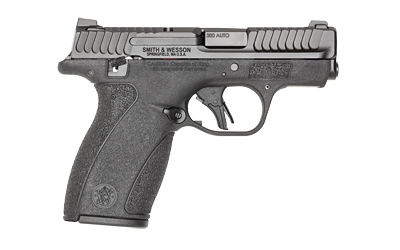 S&W M&P BDYGRD 2.0 380ACP 10RD TS - Image 2