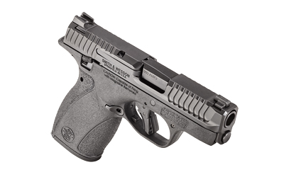S&W M&P BDYGRD 2.0 380ACP 10RD TS - Image 3
