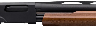 Winchester Repeating Arms 512367303 SXP Field Youth 12 Gauge 22" 4+1 3" Matte Black Rec/Barrel Satin Walnut Stock Right Hand Includes 3 Invector-Plus Chokes