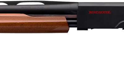 Winchester Repeating Arms 512367602 SXP Field Youth 20 Gauge 20" 5+1 3" Matte Black Rec/Barrel Satin Walnut Stock Right Hand Includes 3 Invector-Plus Chokes