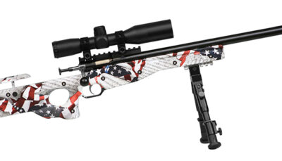 Crickett KSA2153 Precision Complete Package 22 LR 1rd 16.12" Blued American Flag & Amendment Fixed Thumbhole Stock Right Hand (Youth)
