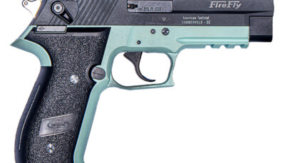 GSG GERG2210FFM FireFly  22 LR 10+1 4" Black Serrated Slide, Mint Zinc Alloy w/Accessory Rail Frame, Black Polymer Grip