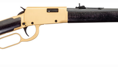 Rossi RL22181WD-GLD2 Rio Bravo  22 LR 15+1 18" Polished Black Barrel, Gold Finish Rec, Black Hardwood Stock