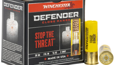 Winchester Ammo S202PD25 Defender  20Gauge 2.75" 7/8oz 2Shot 25 Per Box/10 Case