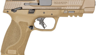 Smith & Wesson 13569 M&P M2.0  Full Size 9mm Luger 17+1, 5" Black Armornite Steel Barrel, Flat Dark Earth Armornite Optic Ready/Serrated Stainless Steel Slide & Polymer Frame w/Picatinny Rail