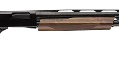 Winchester Repeating Arms 512451391 SXP High Grade Field 12 Gauge 3" Chamber 4+1 (2.75") 26", Gloss Blued Barrel/Rec, High Grade Turkish Walnut Furniture, TruGlo Fiber Optic Sight