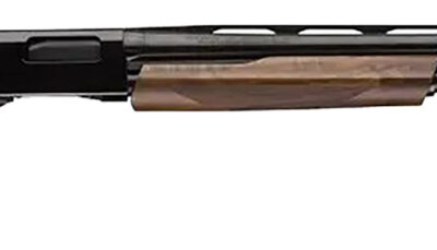 Winchester Repeating Arms 512451392 SXP High Grade Field 12 Gauge 3" Chamber 4+1 (2.75") 28", Gloss Blued Barrel/Rec, High Grade Turkish Walnut Furniture, TruGlo Fiber Optic Sight
