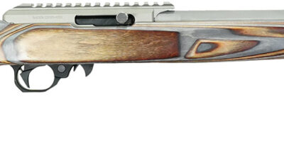 Black Rain Ordnance 22DSC Deluxe  Full Size 22 LR 10+1 16" Matte Stainless, Threaded Stainless Steel Barrel, Stainless Aluminum w/Accessory Rail Receiver, Shady Camo Boyd's Agility Stock, Right Hand