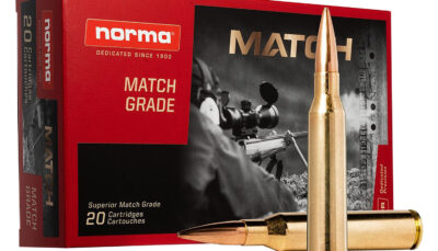 Norma Ammunition 10185442 Dedicated Precision Golden Target Match 338LapuaMag 250gr Hollow Point Boat Tail 20 Per Box/10 Case