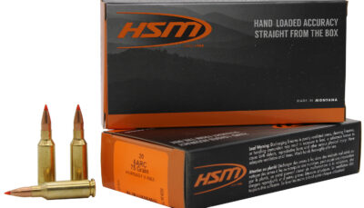 HSM 6ARC1N Centerfire Rifle V-Max 6mm ARC 75 gr Jacket Hollow Point 20 Per Box/ 25 Case