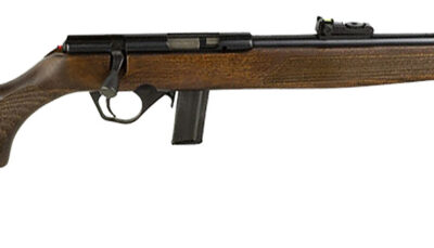 Rossi RB22L1811WD RB22  Full Size 22 LR 10+1 18" Matte Black Steel Barrel, Dovetail Base Steel Receiver, Hardwood Monte Carlo Stock