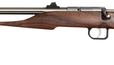 Chipmunk 40101 Hunter Youth Frame 22 S/L/LR Single Shot 9" Threaded Stainless Steel Barrel, Walnut Frame, EZ Loader