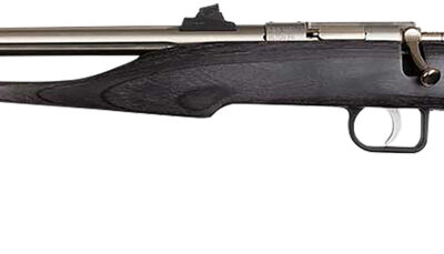 Chipmunk 40103 Hunter  Youth Frame 22 LR Single Shot 9" Threaded Stainless Steel Barrel, Black Laminate Frame