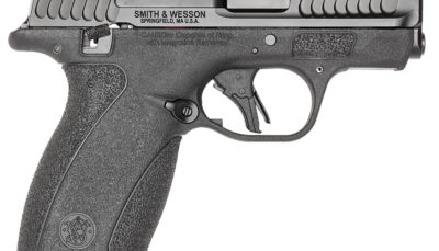 Smith & Wesson 14192 Bodyguard 2.0 Micro Frame 380 ACP 10+1 2.75" Black Armornite Stainless Steel Barrel & Serrated Slide, Black Armornite Polymer Frame, Textured Grip, Thumb Safety