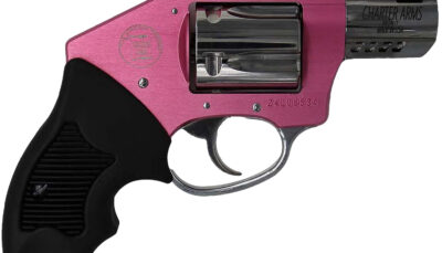 Charter Arms 53812 Off Duty Coyote 380 ACP 5rd 2" Stainless Ported Barrel, High Polished Cylinder, Pink Aluminum Frame, Black Finger Grooved Rubber Grip, Concealed Hammer