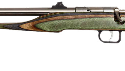 Chipmunk 41105 Hunter Adult 22 Mag 1rd 9" Threaded Stainless Steel Single Shot Barrel, Camo Laminate Stock