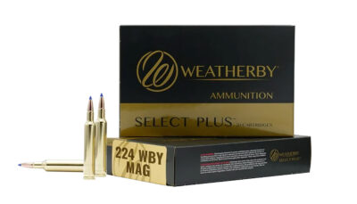 Weatherby R224805FBT   224WthbyMag 80.5gr 20 Per Box/10 Case