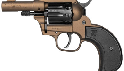 DIA DB0600A071 22LR/WMR SDKCK BIRDSHD 3 9R MB