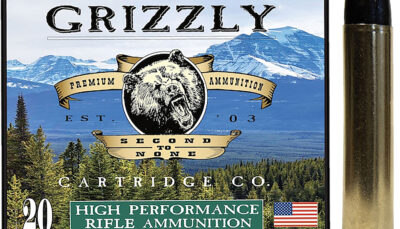 Grizzly Ammo GC45/701   45-70Gov 405gr Round Nose Flat Point 20 Per Box/10 Case