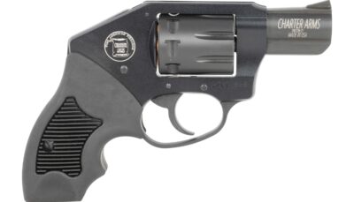 Charter Arms 12221 Walker  22 LR 8 Shot 2"
