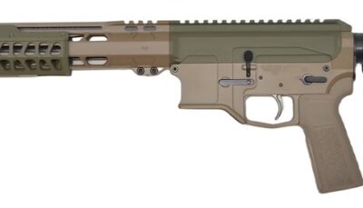 BILSON P2FCSFG20R1 BA15FCP 300BO    20R FDE/SNPGRN