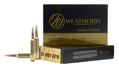 WTHBY B25RPM117LRX 25WBY RPM 117G BARNES LRX 20/10