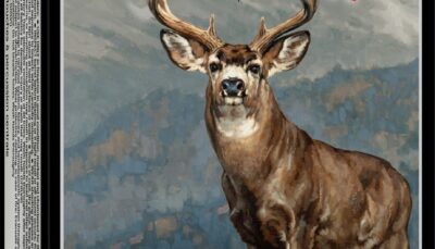 WIN S3006BC  3006    195GR BC MAX            20/10