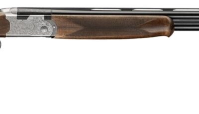 BER J686F41028   686 SLVR PGN 1  410   28 WD/BLU