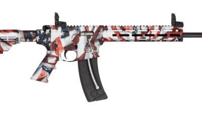 Smith & Wesson 14714 M&P15-22 Sport Flag 22 LR 25+1 16.50" Black Threaded Barrel, US Flag Cerakote Polymer Receiver w/Picatinny Rail, M-LOK Handguard, US Flag 6 Position CAR Polymer & AR Polymer Grip