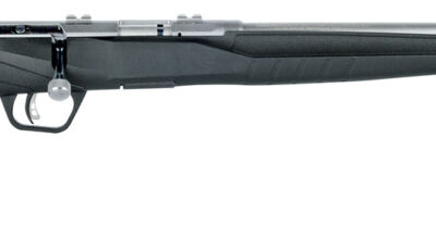 Savage Arms 70202 B Series FVSS Full Size 22 LR 10+1 21" Matte Heavy Button Rifled Barrel, Matte Drilled & Tapped Stainless Steel Receiver, Matte Black Fixed Synthetic Stock, Right Hand