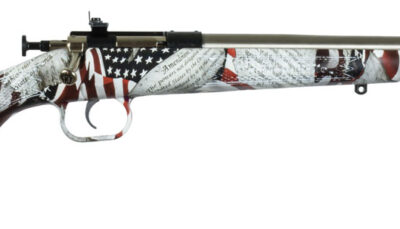 Crickett KSA3168 Youth  22 LR 1rd 16.12" Stainless Steel Barrel, Fixed Front/Adjustable Rear Peep Sights, American Flag/Amendment Synthetic Stock w/11.5" LOP, Rebounding Firing Pin Safety