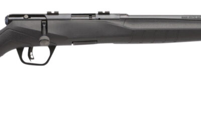 Savage Arms 70814 B17 F Compact 17 HMR 10+1 18" Matte Black Button Rifled Barrel, Matte Black Drilled & Tapped Carbon Steel Receiver, Matte Black Fixed Synthetic Stock, Right Hand