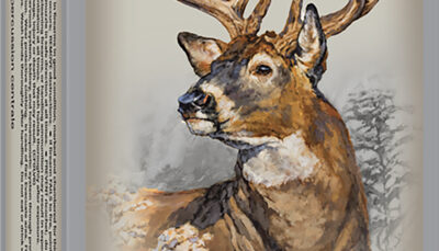 Winchester Ammo X223WSS1 Power-Point 223WSSM 64gr 20 Per Box/10 Case