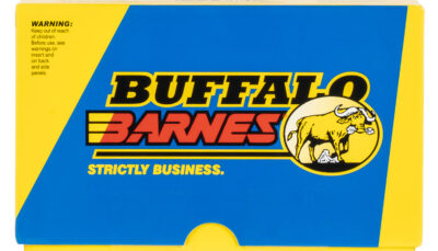 Buffalo Bore Ammunition 8F20 Buffalo-Barnes Strictly Business 45-70Gov 300gr Barnes TSX Flat Nose Lead Free 20 Per Box/12 Case