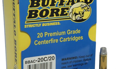 Buffalo Bore Ammunition 20C20 Standard Pressure Strictly Business 38Special 158gr Lead Semi Wad Cutter Hollow Point 20 Per Box/12 Case