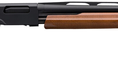Winchester Repeating Arms 512266391 SXP Field 12 Gauge 26" 4+1 3" Matte Blued Rec/Barrel Satin Walnut Stock Right Hand (Full Size) Includes 3 Invector-Plus Chokes