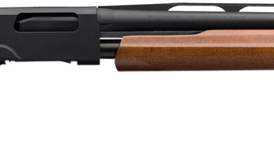 Winchester Repeating Arms 512287390 SXP Field Compact Compact 12 Gauge Pump 3" 4- 2.75" Shells, 24" Matte Black Steel Barrel & Aluminum Alloy Receiver, Fixed Satin Walnut Stock, Right Hand