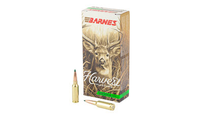 BARNES HARV ST 6MM ARC 100GR 20/200