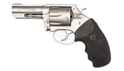 CHARTER ARMS PITBULL 380ACP 3" STS