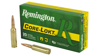 REM 6MM 100GR CM CL 20/200