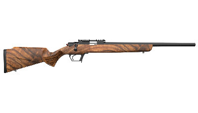 RETAY ASEND 22LR 20" 10RD BLK WLNT
