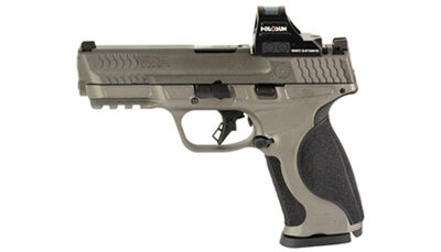 S&W M&P M2.0 9MM 4.25" 17RD HOLO GRY