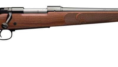 Winchester Guns 535200289 Model 70 Featherweight 6.5 Creedmoor 5+1 22" Satin Walnut with Feather Checkering Stock Brushed Polish Blued Right Hand (Full Size)