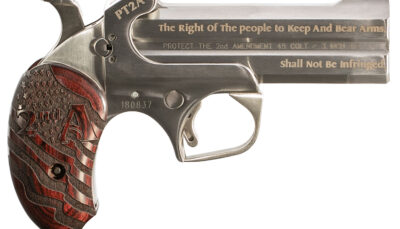 Bond Arms PT2A Protect the 2nd Amendment  Derringer Single 45 Colt (LC)/410 Gauge 2rd 4.25" Engraved Barrel, Stainless Steel Finish, Blade Front/Fixed Rear Sights, Extended Engraved Rosewood Grip, Man