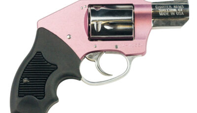 Charter Arms 53852 Chic Lady Off Duty Small 38 Special, 5 Shot 2" High Polished Stainless Steel Barrel & Cylinder, Pink Aluminum Frame, Pearl Grip, Concealed Hammer