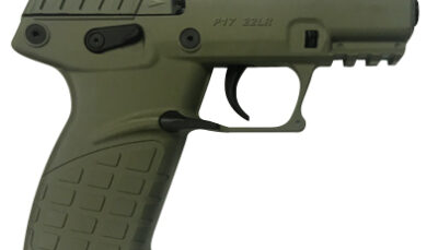 Kel-Tec P17BGRN P17  Compact Frame 22 LR 16+1 3.80" Black Steel Threaded Barrel, OD Green Serrated Slide, OD Green w/Black Controls Polymer Frame w/Picatinny Rail, OD Green Textured Grip, Ambidextrous