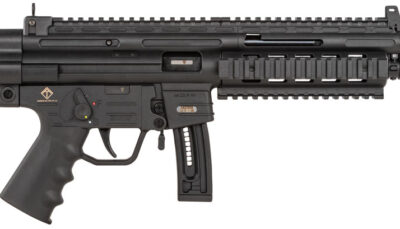 GSG GSGGERGGSG1610 GSG-16 *CA Compliant Full Size 22 LR 10+1 16.25" Black Black Polymer Receiver Black Collapsible w/Storage Compartment Stock Right Hand