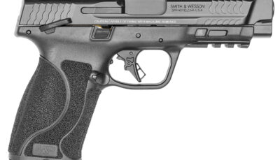 Smith & Wesson 13388 M&P M2.0 M2.0 Full Size 10mm Auto 15+1, 4.60" Black Armornite Stainless Steel Barrel & Optic Cut/Serrated Slide, Matte Black Polymer Frame w/Picatinny Rail